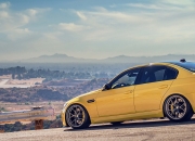 开云体育登录-范戴克一锤定音，尼斯战术碾压新西兰启示录