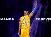 开云体育-澳网碾压联合杯，辛纳点燃赛场，新王登基与赛事格局之变