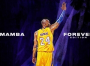 开云体育平台APP-文班亚马，总决赛之夜，巨人指尖的独舞