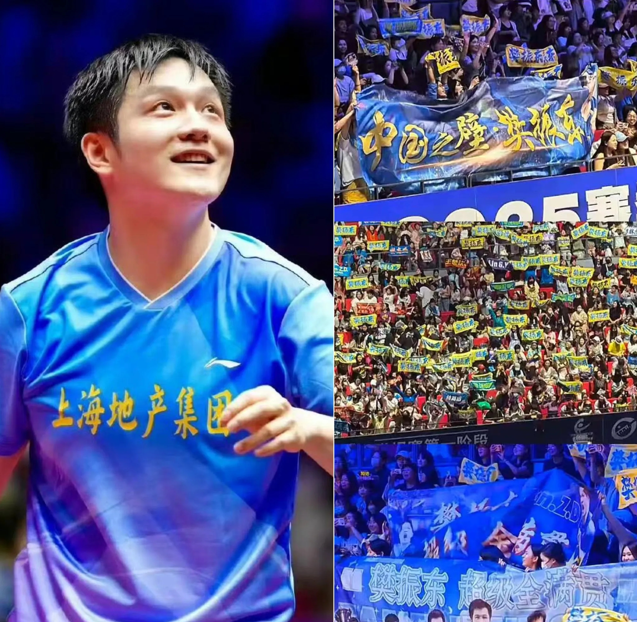 中国乒乓球队横扫波兰乒乓球队，樊振东送出助攻的简单介绍