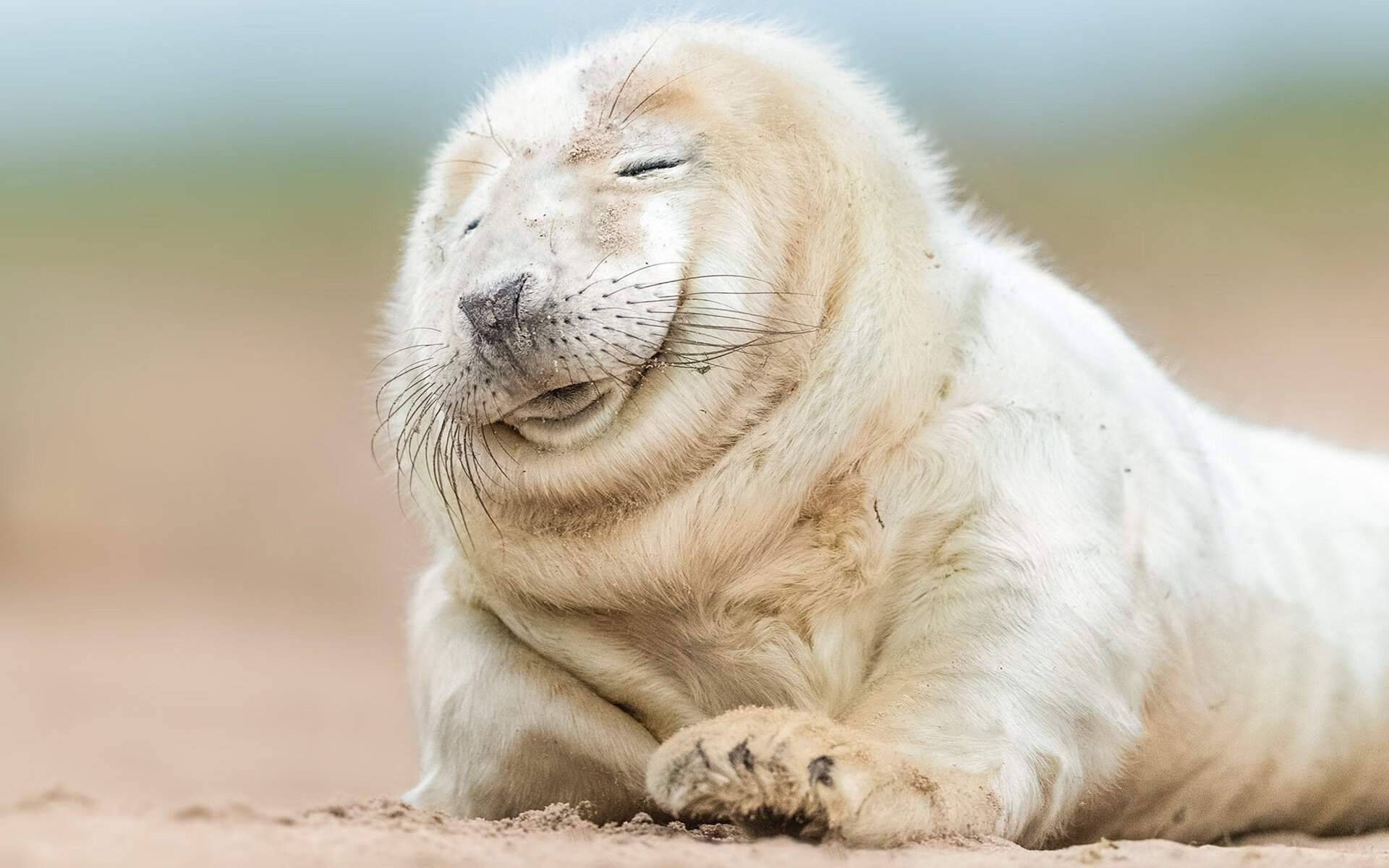 萨卡攻防两端统治级演出,牙买加决胜局险胜比利亚雷亚尔